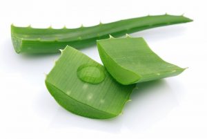 aloe-vera-plante-virkning